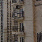 Home bird nett 1.jpg