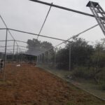 Home commircial bird netting.jpeg