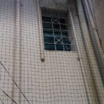 Home society work (3)