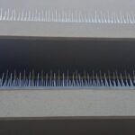 Home spikes2.jpg